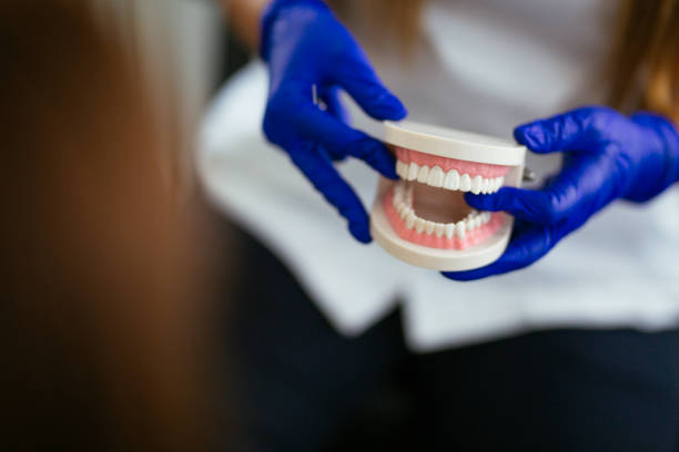Best Dental Exams and Cleanings  in Louisburg, NC